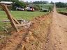 Vídeo:Dois bovinos morrem eletrocutados após caminhão derrubar poste no interior de Iporã do Oeste
