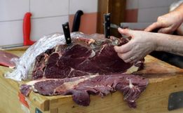 Operação apura venda de carne de cavalo para consumo humano em SC