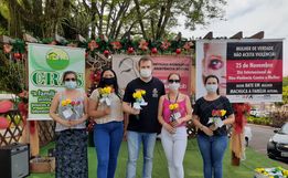 Assistente Social alerta sobre alto índice de violência contra a mulher