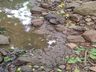 Polícia Ambiental investiga poluição hídrica em Itapiranga