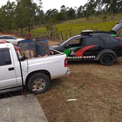 Polícia fecha abatedouro clandestino de cavalos no Sul de SC
