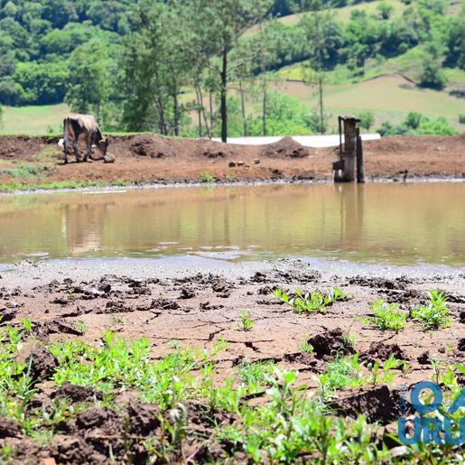 Cinco municípios decretam novamente situação de emergência em relação à estiagem