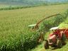 Epagri  destaca importância da análise de solo para uma boa produção de silagem