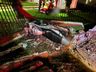 Motociclista é socorrido em estado grave após acidente em SMOeste