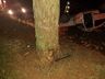 Homem de 61 anos morre em capotamento na SC-496