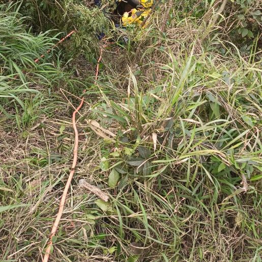 Jovem é resgatado após saída de pista na BR-163 em São José do Cedro