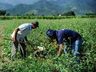 Encontro do Crédito Fundiário de Bandeirante será nesta quinta-feira