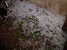Forte chuva de granizo atinge municípios da região
