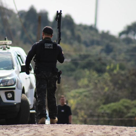Mulher é presa por furtos a comércios na fronteira entre SC e PR