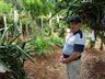 Morador de SJCedro investe no cultivo de pitaya