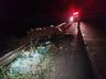Motorista de caminhão morre em acidente na SC-155