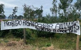 Terreno usado para abandono de animais ganha faixa de alerta em Santa Catarina