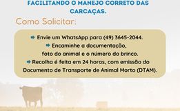 Guaraciaba inicia parceria para recolhimento de bovinos e equinos mortos 