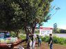 Dia Mundial da Limpeza é realizado pela JCI de São José do Cedro