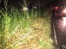 Falta de visibilidade causa acidente na SC-492 em São Miguel do Oeste