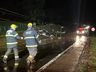 Veículo sai da pista e se choca contra poste de energia entre SMO e Descanso