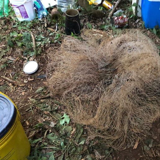 Polícia Ambiental flagra pesca predatória ilegal no rio Peperi-Guaçú