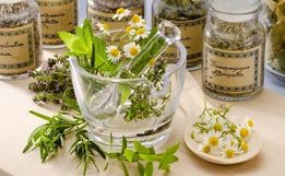 Escritório da Epagri em SJCedro esclarece dúvidas sobre plantas medicinais