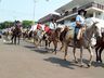 Clube do Cavalo organiza 3ª Cavalgada da Demarcação