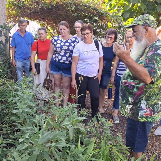 Especialista fala sobre plantas medicinais no Horto Medicinal 