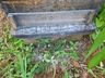 Apicultor registra morte de abelhas e suspeita de envenenamento