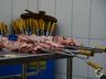 Mais de 830KG de carne são comercializados na tradicional festa do padroeiro