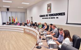 Vereadoras sugerem melhorias na iluminação pública e no trânsito em SMO