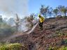 Bombeiros combatem incêndio em vegetação em Itapiranga 