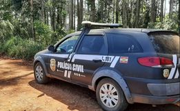 Delegado diz que caso do bebê encontrado sem vida em Palma Sola é complexo