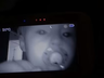 Casal flagra ‘voz grossa’ falando com criança por babá eletrônica