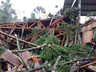 Tornado com ventos de quase 100 km/h atinge cidade de SC, diz Defesa Civil
