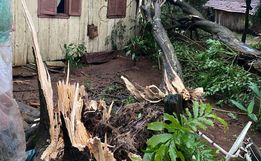 Ventania derruba árvores e danifica casa no interior de Iporã do Oeste e São João do Oeste