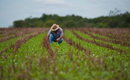 Coopacep atende agricultores com assistência técnica nas propriedades