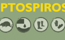 São João do Oeste registra óbito por Leptospirose