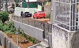 Morador fica frente a frente com onça-parda no meio da rua SC