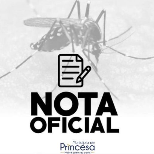 Princesa confirma primeira morte por dengue