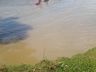 Seguem as buscas por mulher desaparecida no interior de Tunápolis