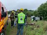 VÍDEO: Motorista sai da pista e colide em árvore após desviar de buraco na BR-163