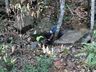 Homem é encontrado morto em pedreira de Francisco Beltrão