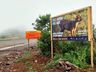 DNIT lança campanha de proteção à fauna na BR-163