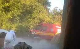 Homem atacado por enxame de abelhas segue internado em estado grave