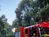 Bombeiros removem árvores que interditavam BR-282 em Iraceminha