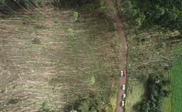 Com ventos acima de 80 km/h, Defesa Civil confirma microexplosão em Descanso 