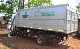 Recolha de carcaças de animais será retomada nos próximos meses