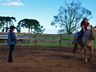 VÍDEO: Relação entre humanos e cavalos traz benefícios para o corpo e mente 