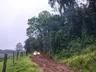 Chuva forte arrasta ponte e deixa lavouras submersas no Extremo-Oeste