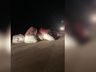 PRF apreende carreta por trafegar fora do horário e derrubar carga na BR-163