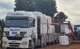 Produtores se unem para destinar alimentação e medicação para o rebanho bovino do RS