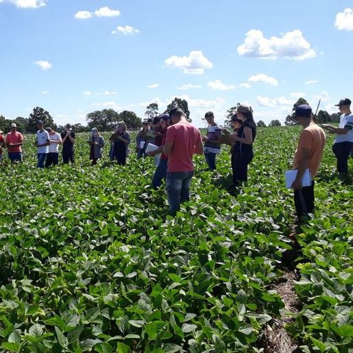 Casa Familiar Rural de Iporã do Oeste abre pré-matrículas para curso técnico em agricultura