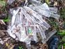 Campanha em Descanso incentiva descarte correto de medicamentos usados por diabéticos